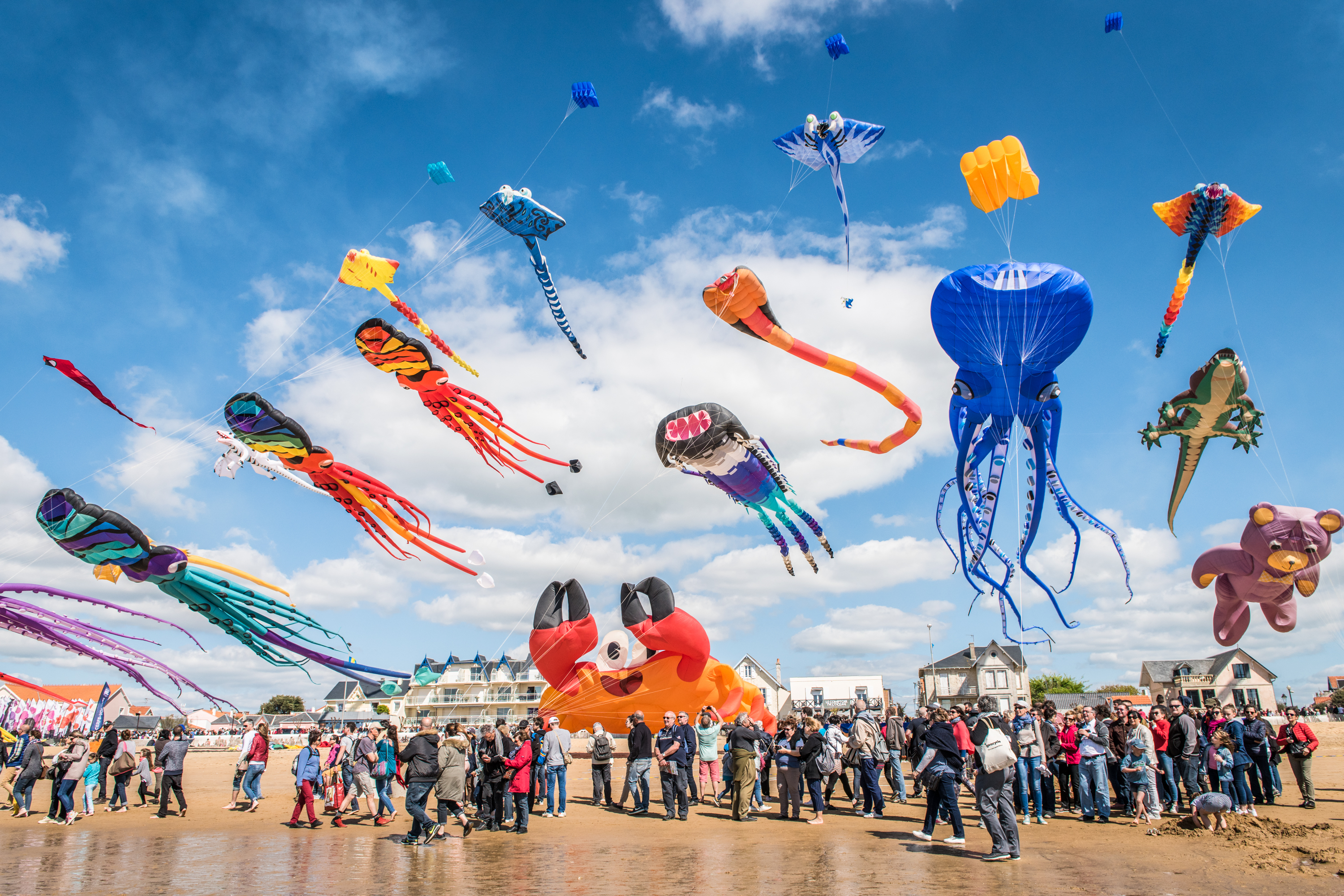 Festival du Cerf-Volant - Olivier Pravert