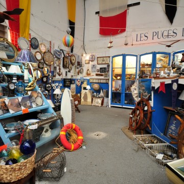Les Puces de Mer