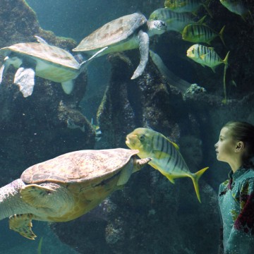 Aquarium La Rochelle