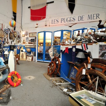 Les Puces de Mer