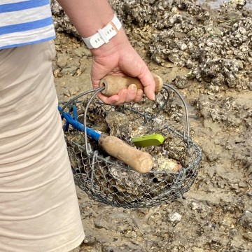 La grapette outil pêche à pied