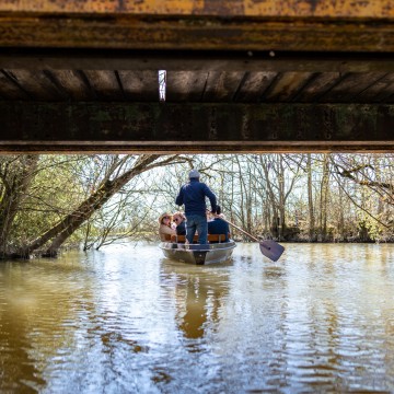 Excursion dans le Marais poitevin - Balade en barque - Embarcadère de l' Abbaye de Maillzezay