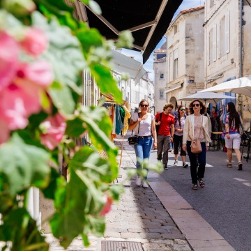 Rose trémières et rue Saint-Nicolas