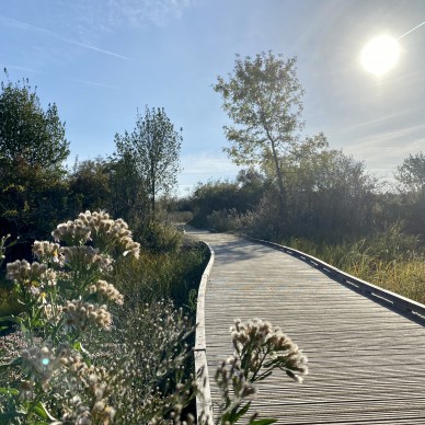 Vuelva a conectarse con la naturaleza en Marais Tasdon