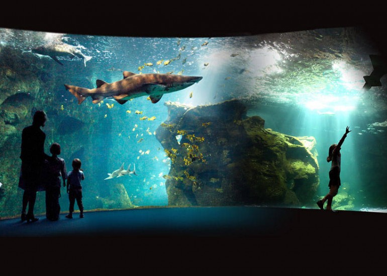 AQUÀRIUM LA ROCHELLE AQUÀRIUM LA ROCHELLE