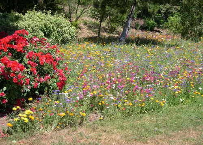 PARC DES SOURCES PARC DES SOURCES