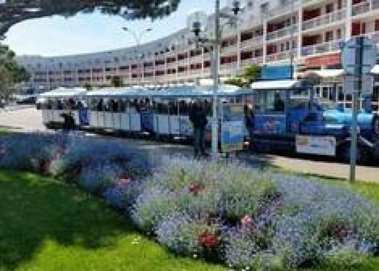 LE PETIT TRAIN DE L'OUEST LE PETIT TRAIN DE L'OUEST
