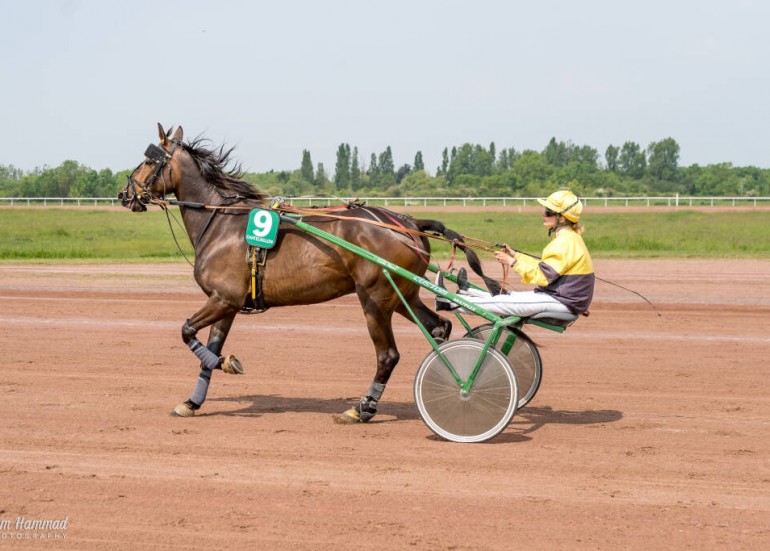 Course de trot-hippodrome Chatelaillon-plage