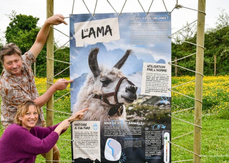 Découvrez le Territoire des Lamas et des Alpagas