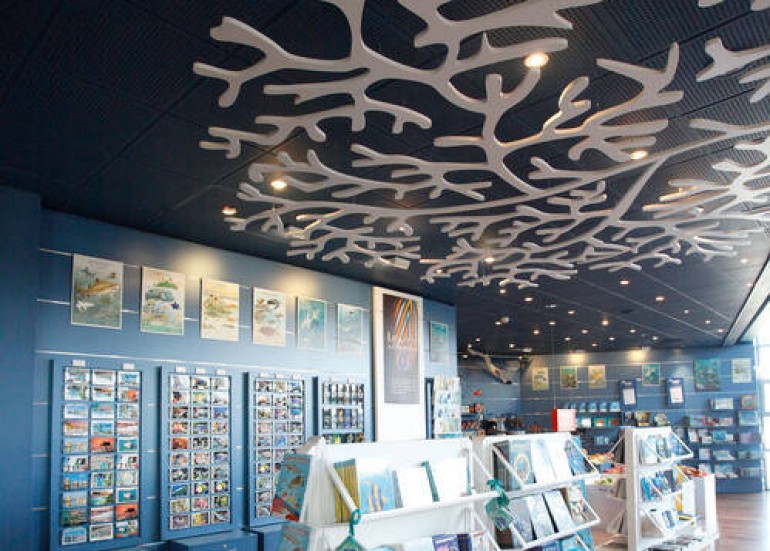 Mémoires d'océans - La boutique de l'aquarium