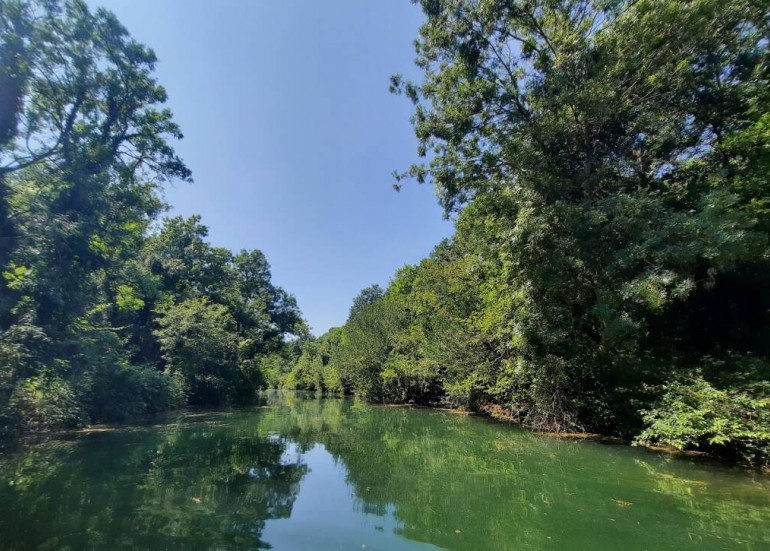 Canal Canoë