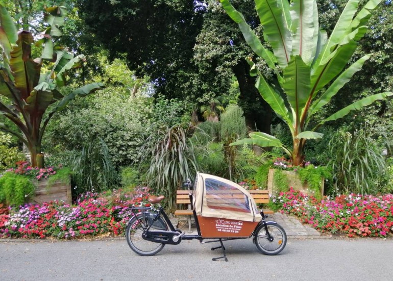 Location de vélo Cargo électrique