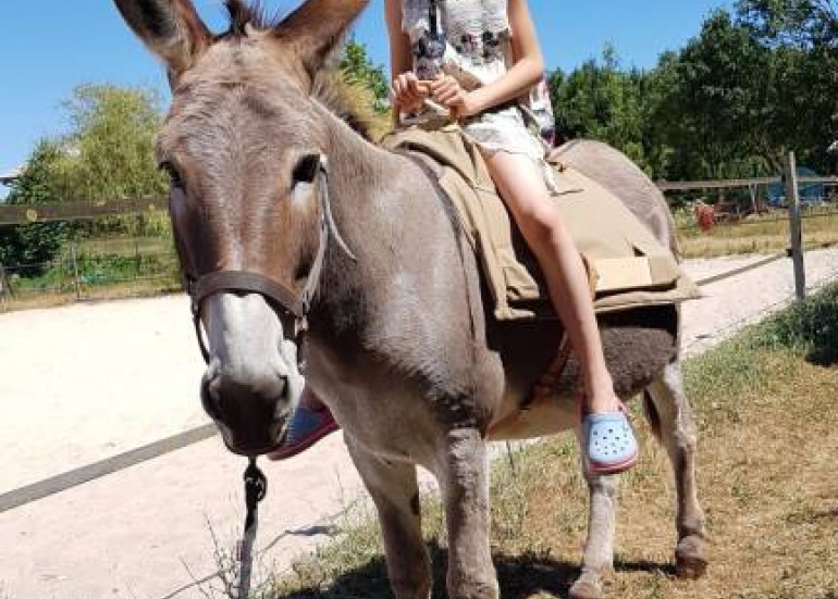 Caminar con un burro - Antoine Vaillant Caminar con un burro - Antoine Vaillant