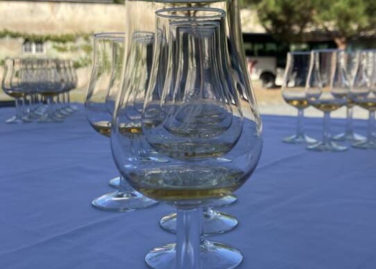 Verres à Cognac pour la dégustation