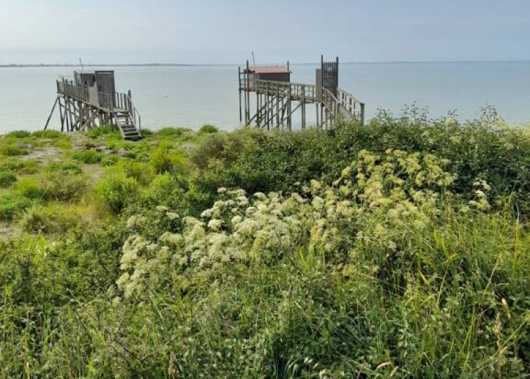 Carrelets ANGOULINS