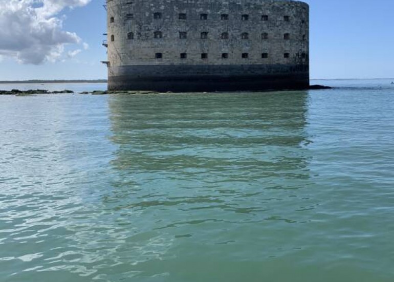 Excursión en catamarán de medio día por la tarde - Aldabra Y acht Charter Excursión en catamarán de medio día por la tarde - Aldabra Y acht Charter