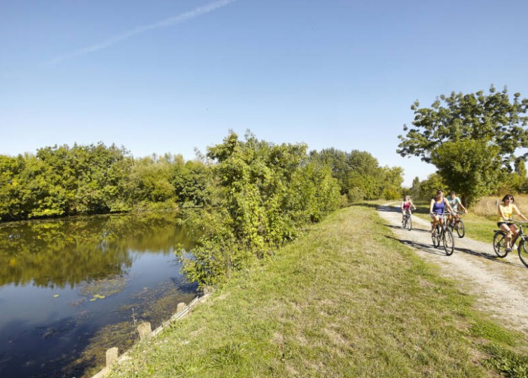 Balade en vélo Marais Poitevin vendée