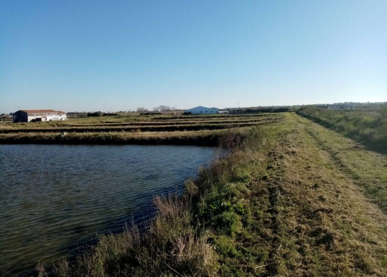 Le marais d'affinage