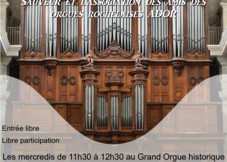 Concert - les moments musicaux du marché_La Rochelle
