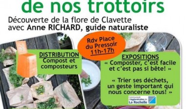 VISITE DÉCOUVERTE : LES PLANTES DE NOS TROTTOIRS VISITE DÉCOUVERTE : LES PLANTES DE NOS TROTTOIRS