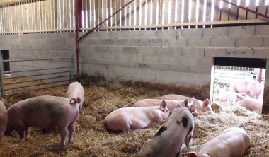 la ferme des coutures