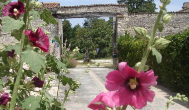 Entrée et son porche en pierres Extérieur de #LaCollégiale