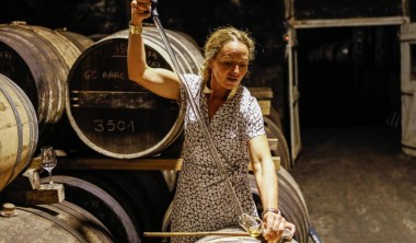 Visite et dégustation de Coganc et Pineaux des Charentes à côté de La Rochelle