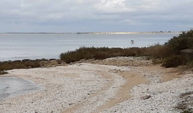 La baie d'Yves au fil des Temps - Les Temps modernes_Fouras-les-Bains