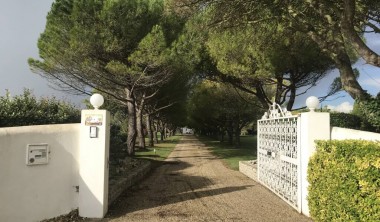 L'entrée
