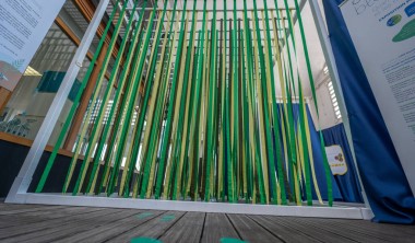 Exposition - Carbone Bleu, quand le littoral et les marais s'en mêlent_La Rochelle