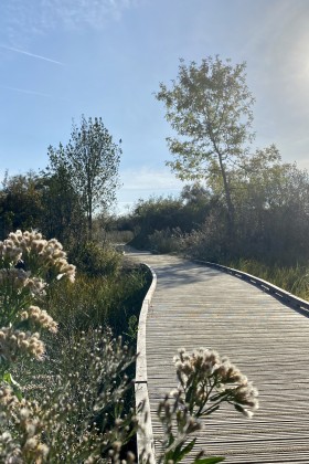 Vuelva a conectarse con la naturaleza en Marais Tasdon