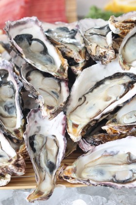 ¿Cómo convertirse en un experto en ostras en La Rochelle?
